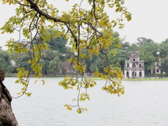 Ảnh bìa bài viết 479464