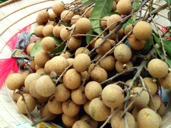 Ảnh bìa bài viết 479533