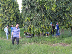 Ảnh bìa bài viết 479803