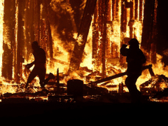 Ảnh bìa bài viết 479909