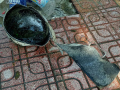 Ảnh bìa bài viết 479787