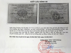 Ảnh bìa bài viết 480355