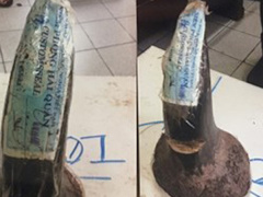 Ảnh bìa bài viết 480781