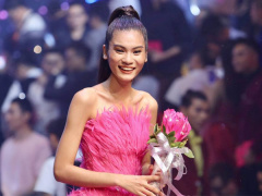 Ảnh bìa bài viết 481011