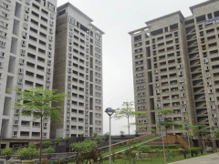 Ảnh bìa bài viết 481193