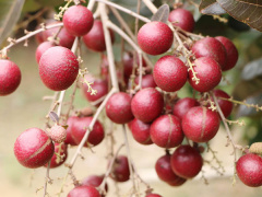 Ảnh bìa bài viết 481136