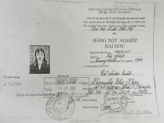 Ảnh bìa bài viết 481257