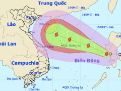Ảnh bìa bài viết 481704
