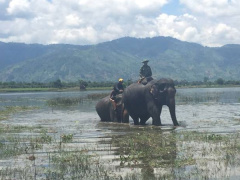 Ảnh bìa bài viết 481495