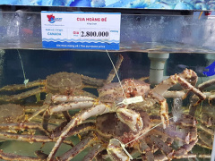 Ảnh bìa bài viết 481606