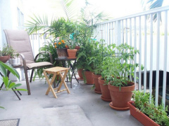 Ảnh bìa bài viết 481650