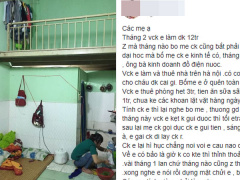 Ảnh bìa bài viết 481513