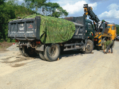 Ảnh bìa bài viết 482023