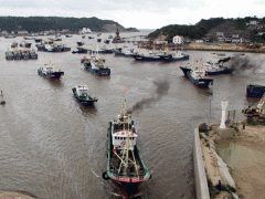Ảnh bìa bài viết 481796
