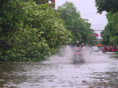 Ảnh bìa bài viết 482003