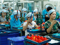 Ảnh bìa bài viết 481960