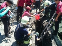 Ảnh bìa bài viết 482301