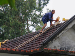 Ảnh bìa bài viết 482190
