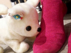 Ảnh bìa bài viết 482209