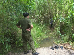 Ảnh bìa bài viết 482274