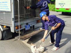 Ảnh bìa bài viết 482182