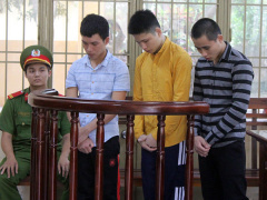 Ảnh bìa bài viết 482239