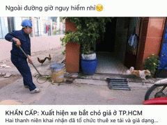 Ảnh bìa bài viết 482035
