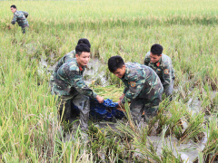 Ảnh bìa bài viết 482337