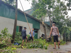 Ảnh bìa bài viết 482386