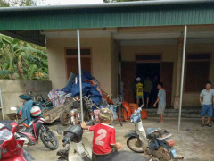 Ảnh bìa bài viết 482730