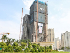 Ảnh bìa bài viết 483028