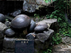 Ảnh bìa bài viết 483027