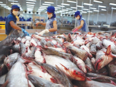 Ảnh bìa bài viết 483132