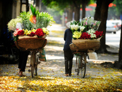 Ảnh bìa bài viết 483351