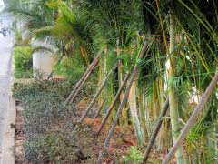 Ảnh bìa bài viết 483222