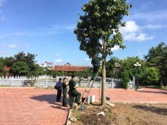 Ảnh bìa bài viết 483306