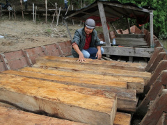 Ảnh bìa bài viết 483262