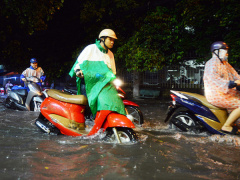 Ảnh bìa bài viết 483451