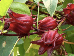 Ảnh bìa bài viết 483328