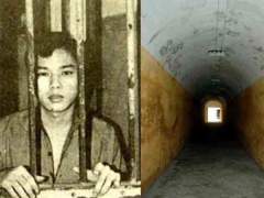 Ảnh bìa bài viết 483555