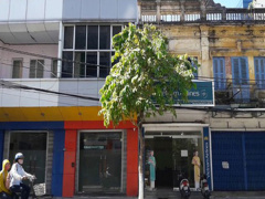 Ảnh bìa bài viết 483675