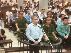 Ảnh bìa bài viết 483705
