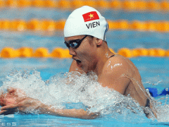 Ảnh bìa bài viết 484254