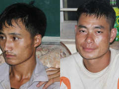 Ảnh bìa bài viết 484223
