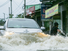 Ảnh bìa bài viết 484252