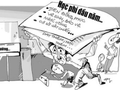 Ảnh bìa bài viết 483995
