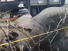 Ảnh bìa bài viết 484115