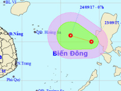 Ảnh bìa bài viết 484378