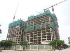 Ảnh bìa bài viết 484338
