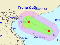 Ảnh bìa bài viết 484479